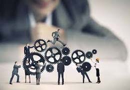 Training & Development